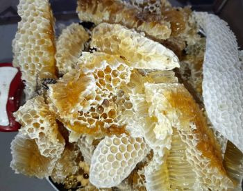 იყიდება დმანისის მთის ნატურალური თაფლი თბილისი - photo 1