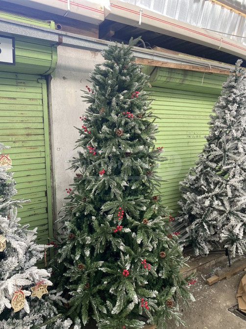 2.40სმსლიკონი Tbilisi - photo 1