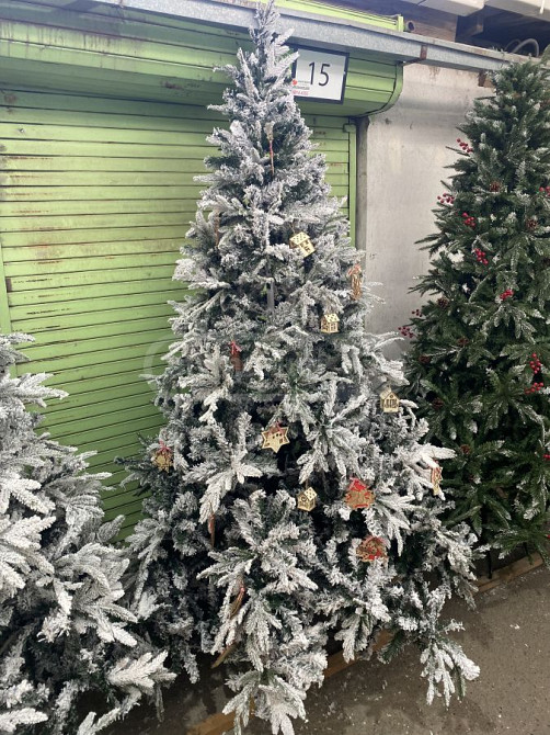 2.40სმ Tbilisi - photo 1