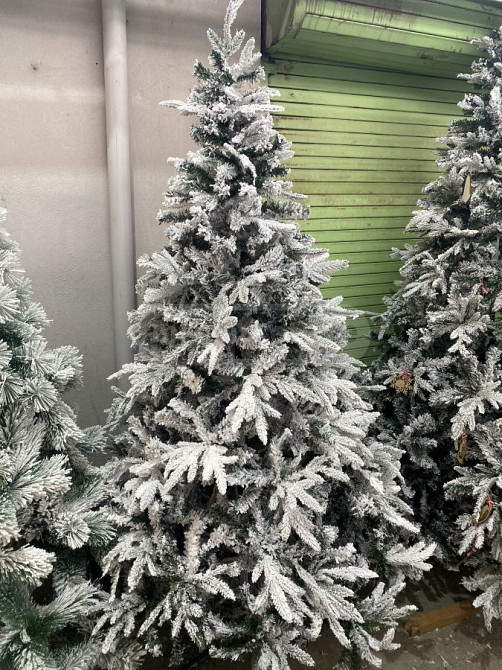 ნაძვის ხე 2.40სმ Tbilisi - photo 1