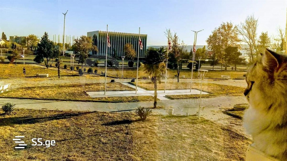 Short Term Rentals two-room 45m² 2/8 floor Tbilisi - photo 7