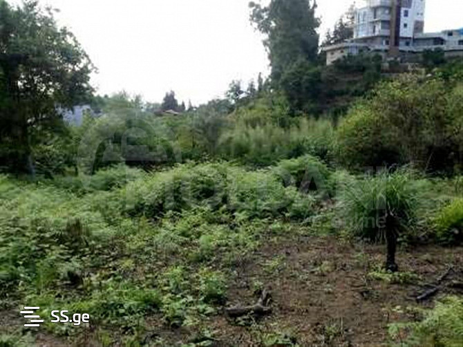 A plot of land in Makhinjauri is for sale Tbilisi - photo 7