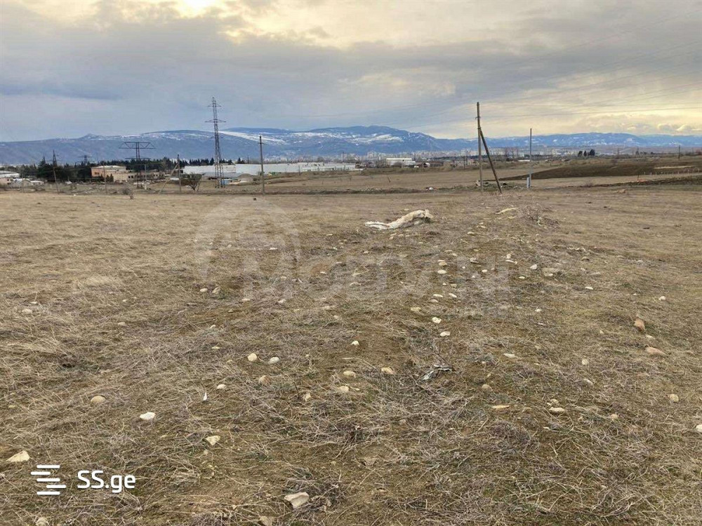 A plot of land in Orkhevi is pledged Tbilisi - photo 1