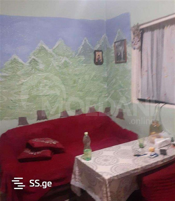 House for sale 250м² Tbilisi - photo 5