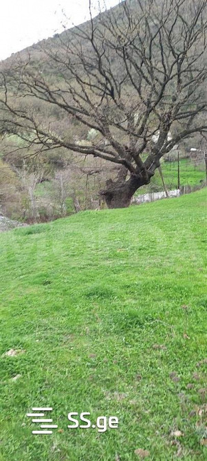 Продам земельный участок 1300м² Tbilisi - photo 1