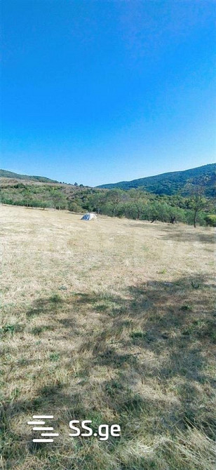 Продам земельный участок 1000м² Tbilisi - photo 4