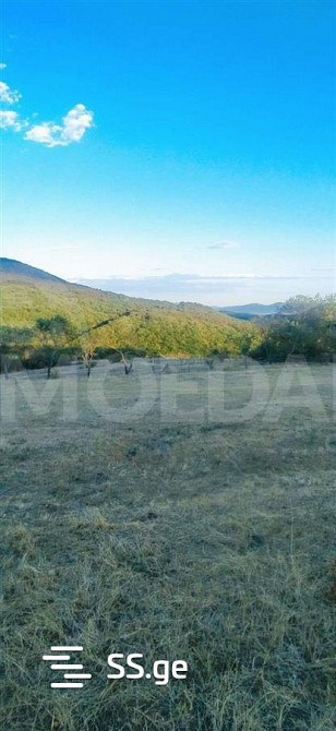 Продам земельный участок 1000м² Tbilisi - photo 1