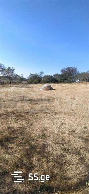 Продам земельный участок 1000м² Tbilisi - photo 3