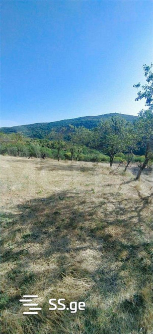 Продам земельный участок 1000м² Tbilisi - photo 5
