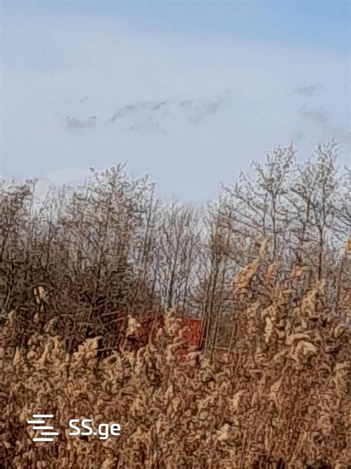 Продам земельный участок 2400м² Tbilisi - photo 2