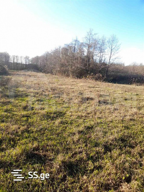 Продам земельный участок 1300м² Tbilisi - photo 4