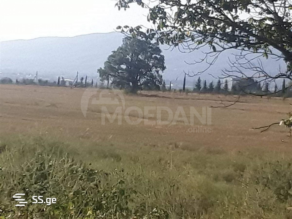 Продам земельный участок 1500м² Tbilisi - photo 3