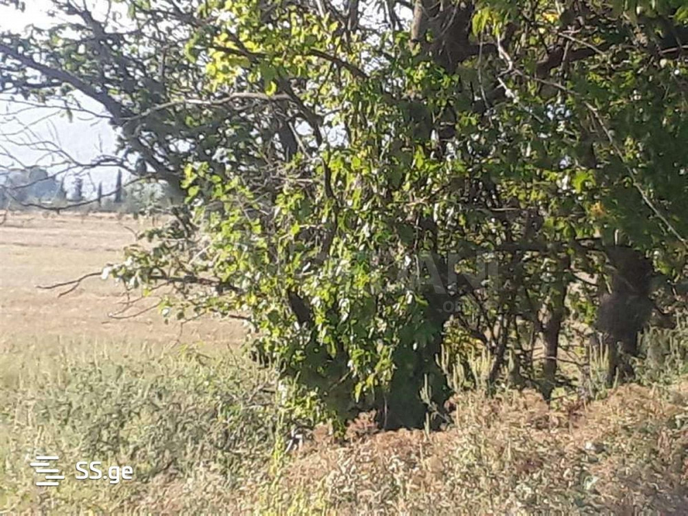 Продам земельный участок 1500м² Tbilisi - photo 2