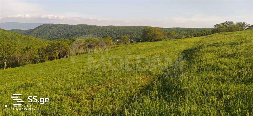 Продам земельный участок 5000м² Тбилиси - изображение 1