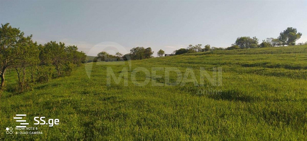 Продам земельный участок 5000м² Тбилиси - изображение 3