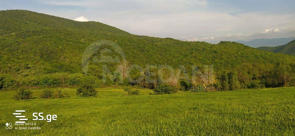 Продам земельный участок 5000м² Тбилиси - изображение 2