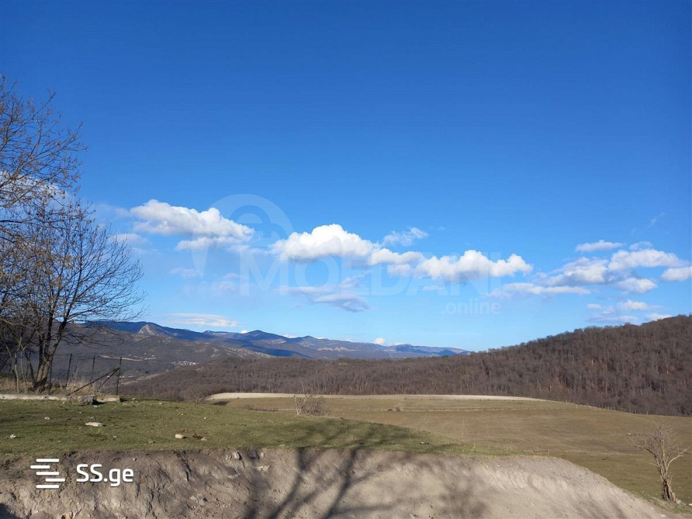 Продам земельный участок 734м² Tbilisi - photo 2