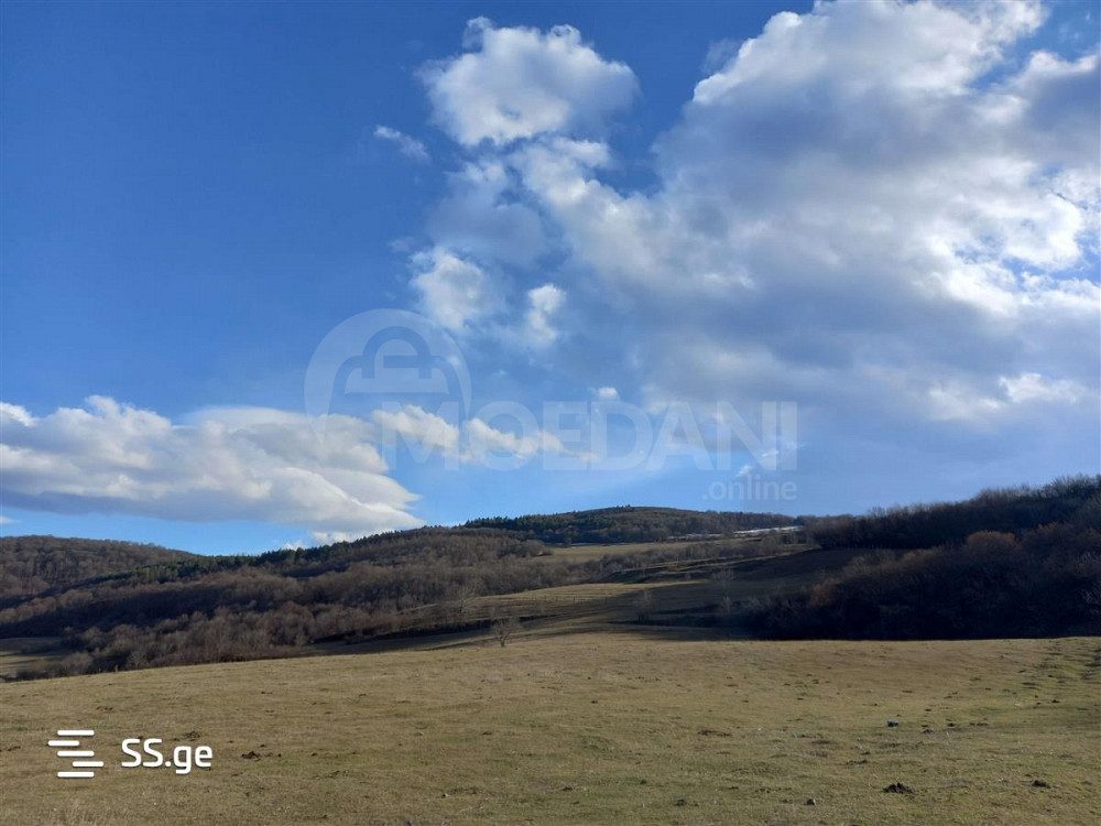 Продам земельный участок 734м² Tbilisi - photo 1