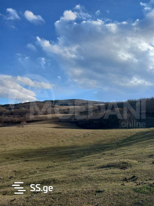 Продам земельный участок 734м² Tbilisi - photo 3