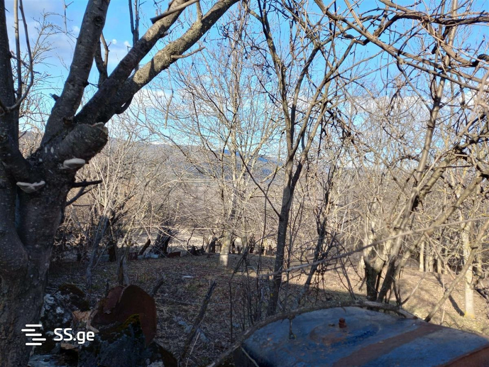 Продам земельный участок 1620м² Tbilisi - photo 3