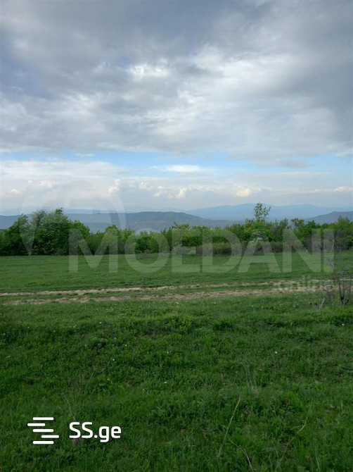 Продам земельный участок 1600м² Tbilisi - photo 1