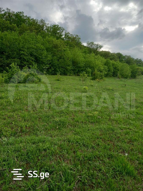 Продам земельный участок 1600м² Tbilisi - photo 2