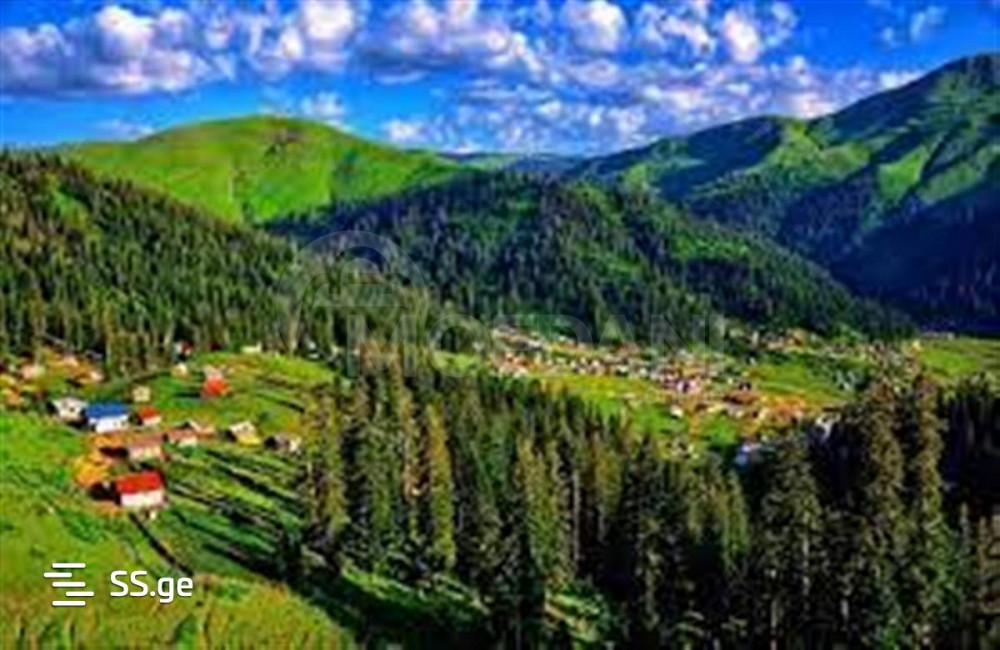 Country house for sale 100м² Tbilisi - photo 1