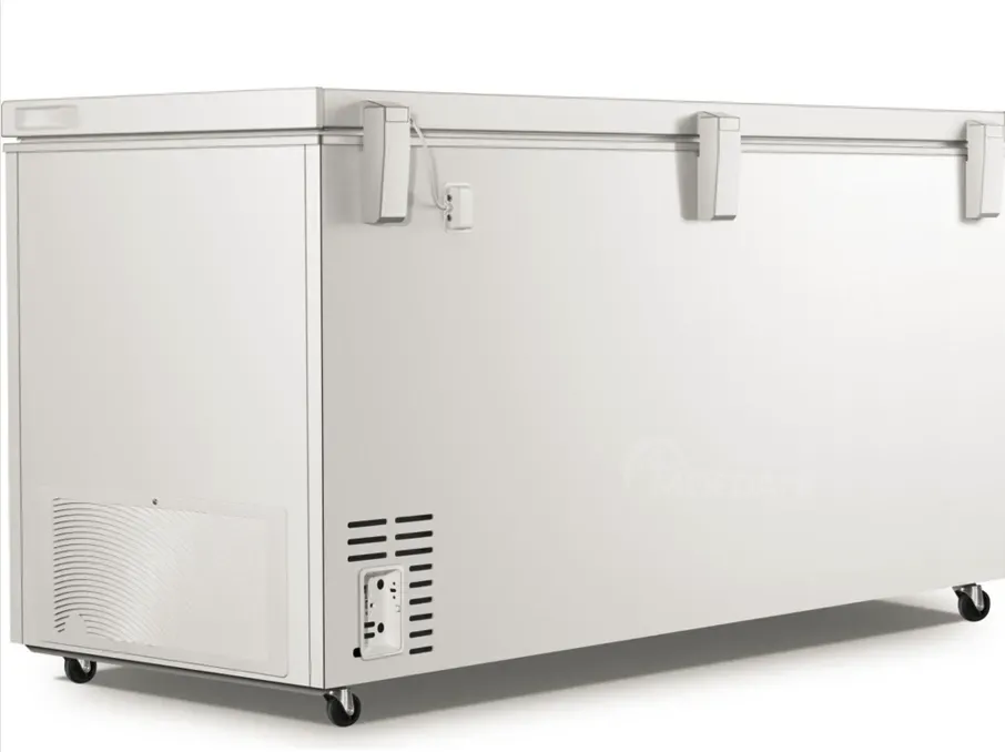 Საყინულე მაცივარი Gorenje Fh50Eaw - 500ლიტრი თბილისი - photo 2