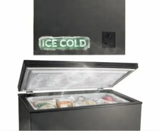 Საყინულე მაცივარი Franko FCF-142Dsg თბილისი