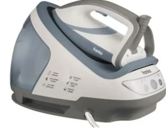 Ორთქლის გენერატორი Franko FGS-9036 თბილისი