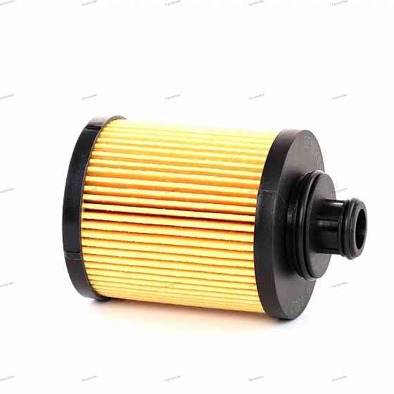 Engine Oil Filter Denckermann A210055 Tbilisi