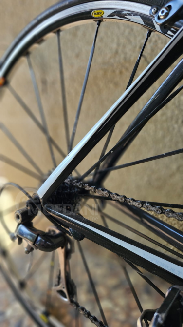 Ველოსიპედი აბაშა - photo 1