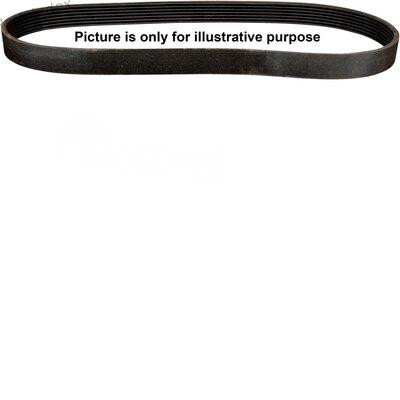 Timing belt Jp group 1418103200 Tbilisi - photo 3