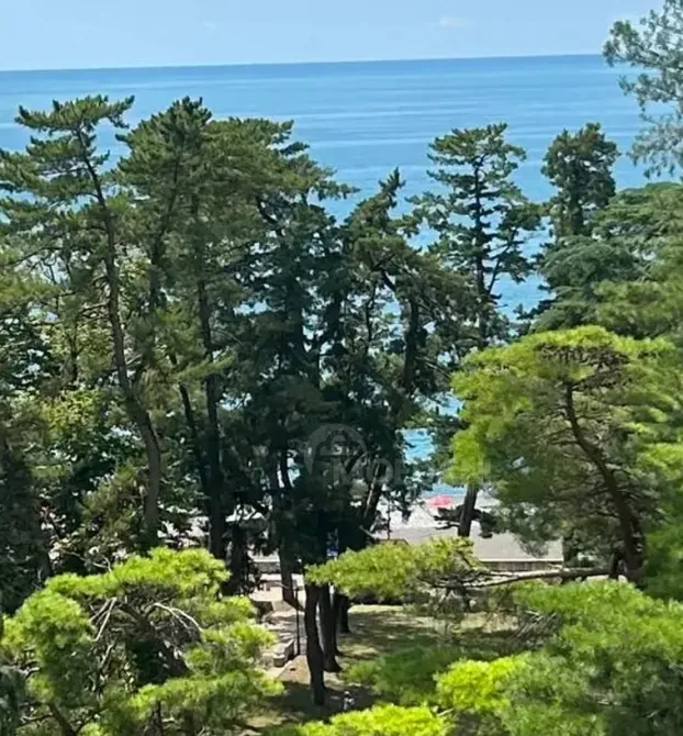 Apartments For Sale three-room 72м² 9/9 floor Kobuleti - photo 5