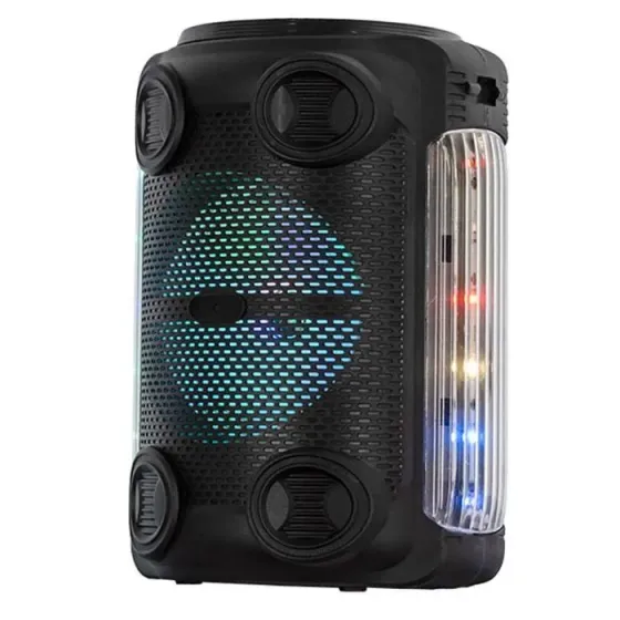 Პორტატული აკუსტიკური სისტემა Ailiang Kolav-C601 ექვალაიზერით თბილისი