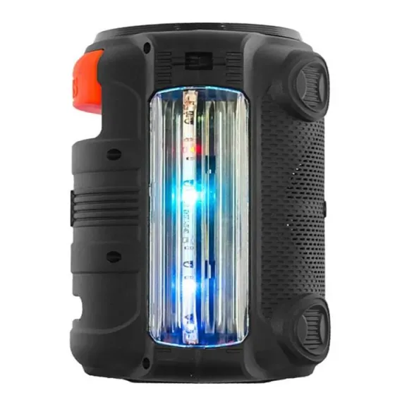 Პორტატული აკუსტიკური სისტემა Ailiang Kolav-C601 ექვალაიზერით თბილისი