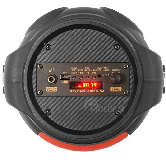 Portable acoustic system Ailiang Kolav-C601 with equalizer Tbilisi - photo 6