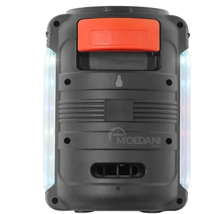 Portable acoustic system Ailiang Kolav-C601 with equalizer Tbilisi - photo 5