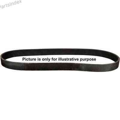 V-Ribbed Belt Jp group 4318100800 Tbilisi