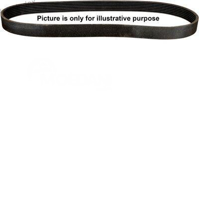 V-Ribbed Belt Jp group 1418104209 Tbilisi - photo 2