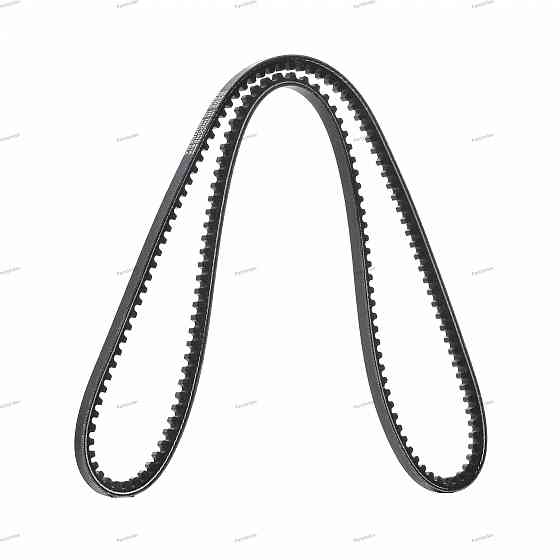 V-Ribbed Belt Dayco 10A1150C Tbilisi