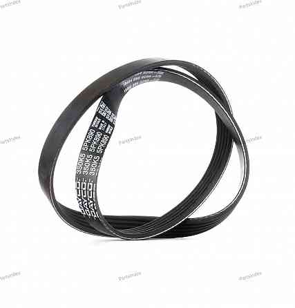 V-Ribbed Belt Dayco 5PK890 Tbilisi