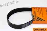 V-Ribbed Belt Contibelt 7PK1140 Tbilisi