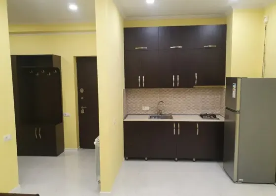 Apartments For Rent two-room 55м² 17/20 floor Tbilisi