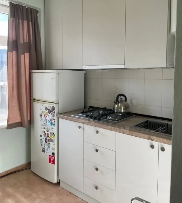 Apartments For Rent two-room 40м² 2/9 floor Tbilisi - photo 3