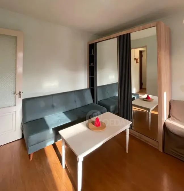 Apartments For Rent two-room 40м² 2/9 floor Tbilisi - photo 10