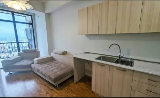 Apartments For Rent two-room 50м² 10/15 floor Tbilisi