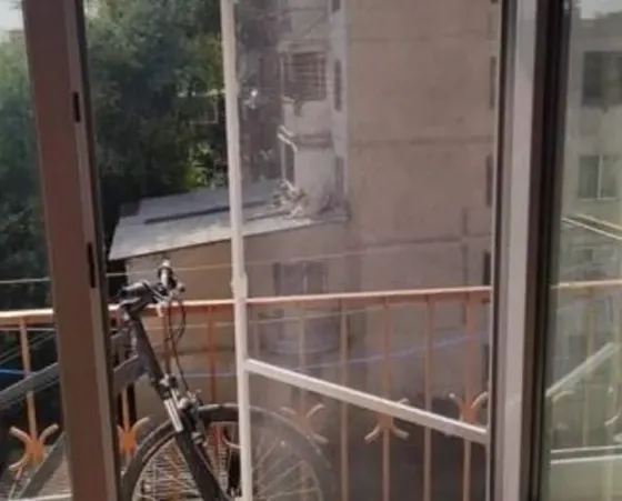 Მწერებიგან დამცავი ბადეები რუსთავში რუსთავი