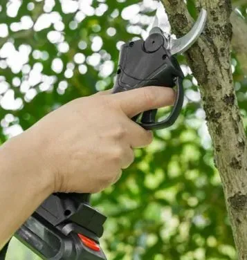 Cordless secateurs EOM 48V Tbilisi