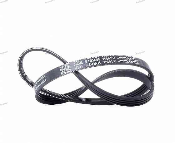 V-Ribbed Belt Dayco 4PK875 Tbilisi